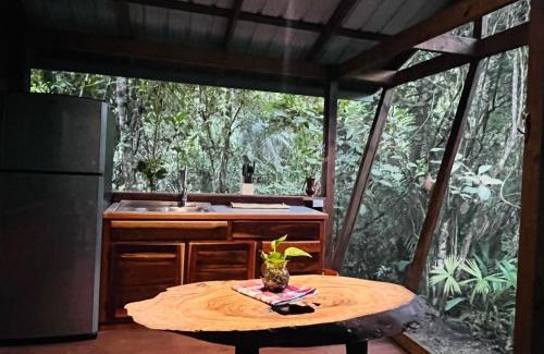 San Ignacio House | Green Jay Cabins