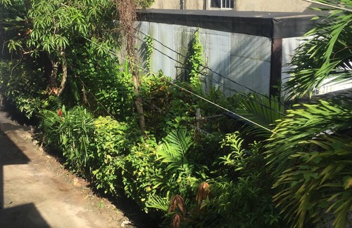 Negril House | Green Leaf Cabins Room 6B&6C