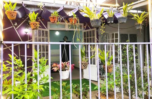 Da Lat House | Green Leaf House - Homestay in Da Lat