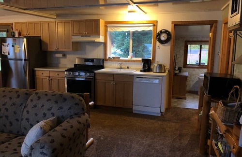 Park Falls Cabin | Green Tree Getaway on the Lake | 2 Bed, 1 Bath