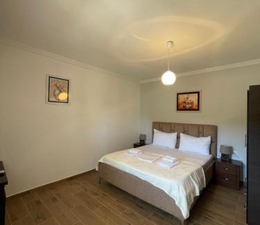 Aliko Apartment | Green Villa Berdenesh