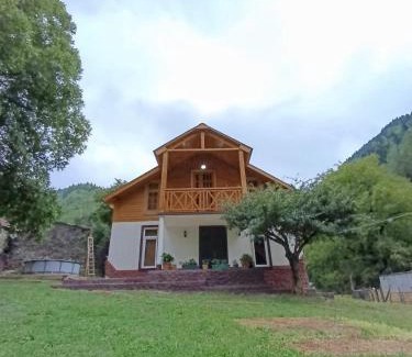 Mestia House | Green Wood In Ifari