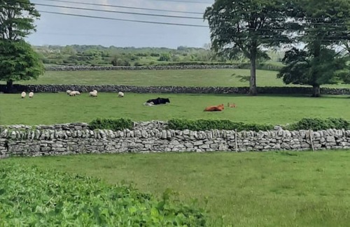 Inishmacatreer Cottage | Greenacres Mews A charming,quaint Cottage