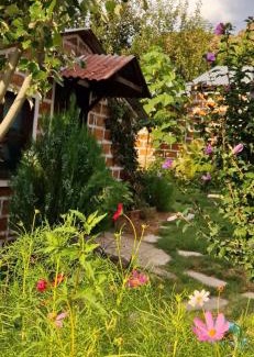 Vayots Dzor Province Apartment | GreenField Resort