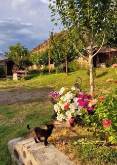 Vayots Dzor Province Apartment | GreenField Resort