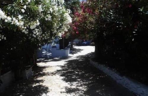 Smardakito House | Greenhouse at Tinos