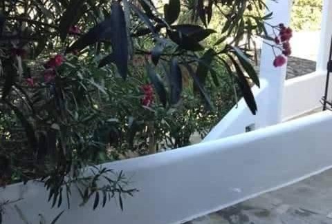Smardakito House | Greenhouse at Tinos