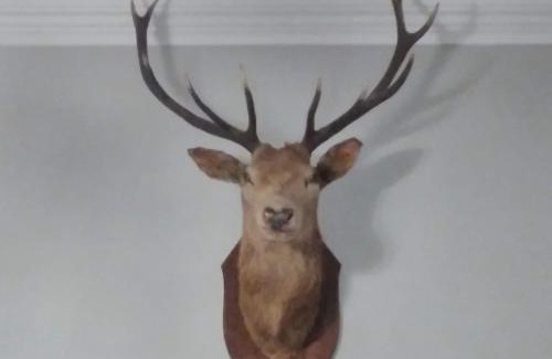 Hunspow Bed & Breakfast | Greenland House B&B