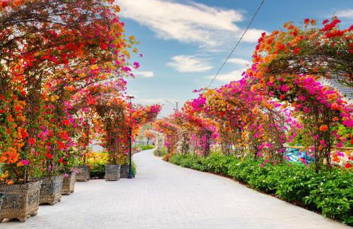 Ganh Dau Hotel | Greenlife Village Phú Quốc