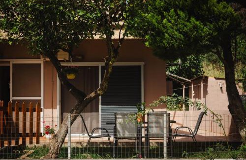 Vitalades House | Greg's House