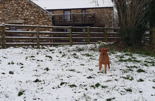 St Wenn House | Grooms Cottage- Sleeps 4 in 2 bedrooms plus 2 to 4 dogs depending on size.