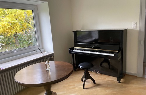 Saverne House | Ground floor Character house (PRM access) close to town center