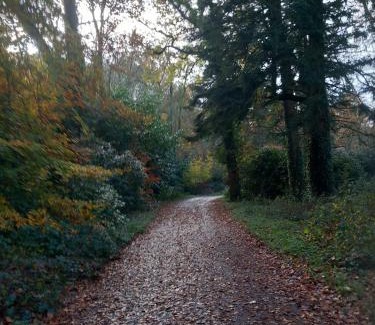 Killotteran House | Grove View log house