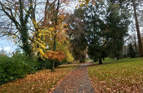 Killotteran House | Grove View log house