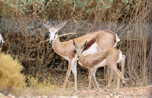 De Hoop House | Grysbok Self Catering Accommodation