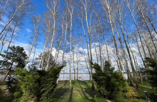 Sulejow House | Grzyby, ryby, ferie, Własny pomost, kajak, kominek, grill, ognisko raj nad wodą, BRZÓZKI 1