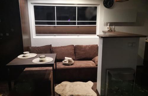 Sulejow House | Grzyby, ryby, ferie, Własny pomost, kajak, kominek, grill, ognisko raj nad wodą, BRZÓZKI 1