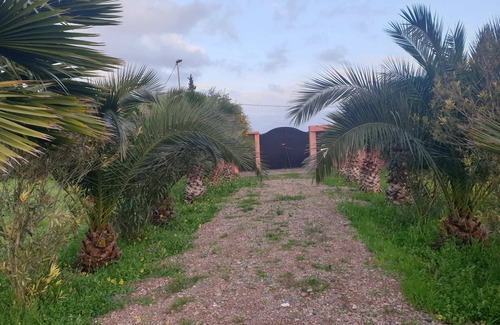 Ziaida House | Guest farm les collines de benslimane