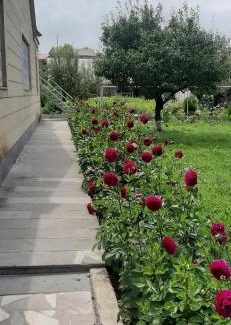 Sevan Apartment | Guest House Chkalovka Garden