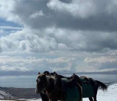 Naryn Region House | GUEST HOUSE EcoNest & HORSE RIDING TOURS TO SONG-KOL LAKE