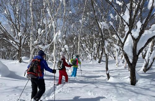 Madarao Mountain Resort Bed & Breakfast | Guest house Maroudo