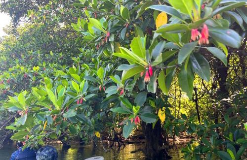 Miyara House | Guest House Suntoru