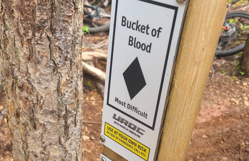 Cumberland House | Guest suite downtown Cumberland - walk to trails and amenities!