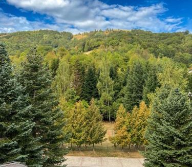 Kopaonik House | Guesthouse Junior