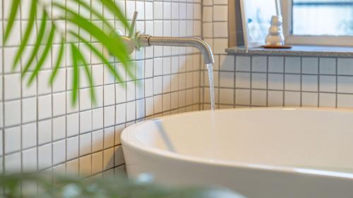 Gyeongju House | gyeongju planb pet pension