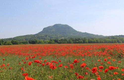Gyulakeszi House | Gyulavezér Lovasbirodalma Vendégháza