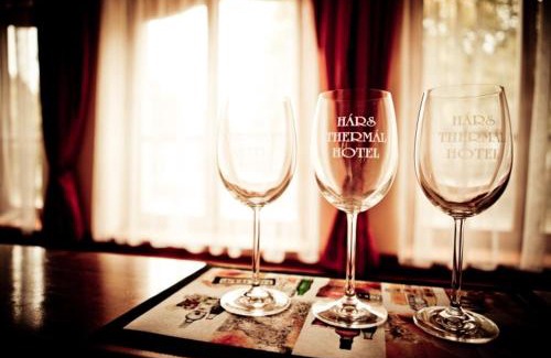 Gyomaendrod Hotel | Hárs Thermál Hotel