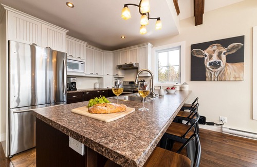 Saint-Joseph-de-la-Rive House | Hôtel à la maison - Chalet l'Odyssée, spa et Vue