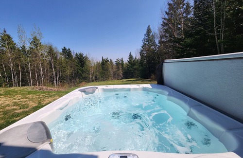 Saint-Joseph-de-la-Rive House | Hôtel à la maison - Chalet l'Odyssée, spa et Vue