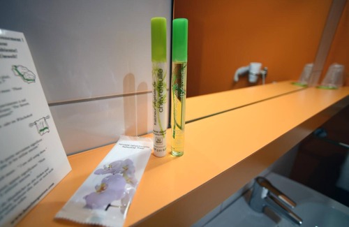 Guebwiller Hotel | Hôtel du Lac