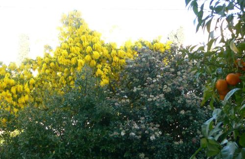 Sanary-sur-Mer Hotel | hôtel Le Synaya