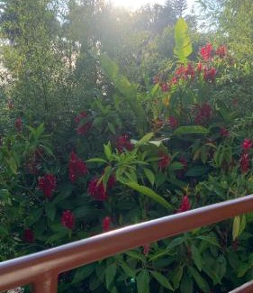 El Queremal House | habitaciones ecopolis en el queremal