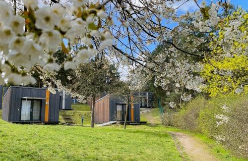 Senftenberg Apartment | Hafencamp Senftenberger See