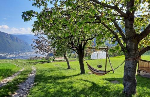 San Genesio Atesino House | Haflingerhof