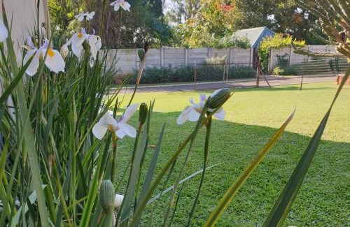 Newcastle Bed & Breakfast | Haggards on Hilldrop