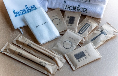 Hakone Hotel | Hakone Hotel