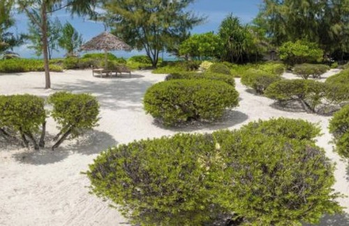 Paje Bed & Breakfast | Hakuna Majiwe Beach Lodge no0302