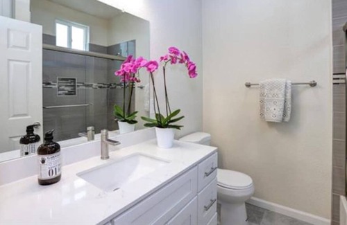 Horace Mann Apartment | Hammerhead Room | SJ Shark House