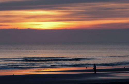 Jacksonville Beach Hotel | Hampton Inn Oceanfront Jacksonville Beach