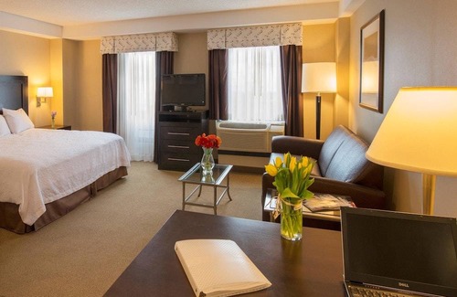 Harrison Lenox Hotel | Hampton Inn & Suites Boston Crosstown Center 1 King Bed Studio Suite