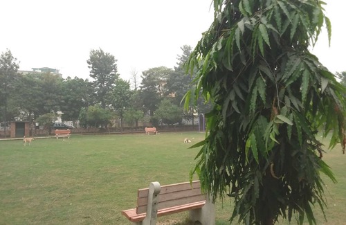 Greater Noida House | Handa Villa in Greater Noida