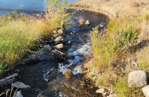 Alder Cabin | Hangman’s Guest Ranch - Tanager Cabin. Entire cabin by historic Virginia City