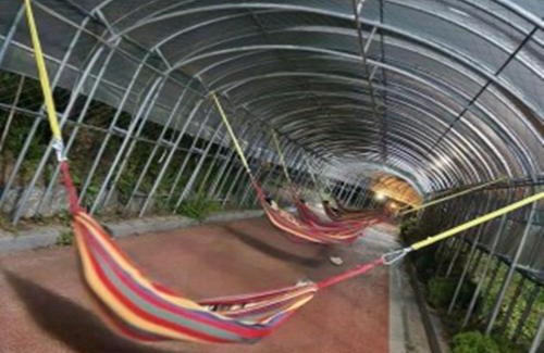 Jangseong House | Hanok Stay Daldojimaeul Pension