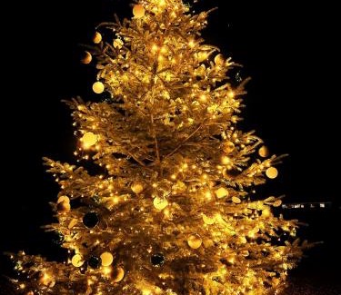 Petersdorf Apartment | HAPPY DAYS Fehmarn