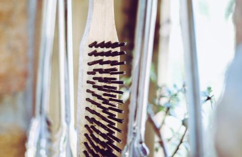 Cape Peninsula Other | Happy Van