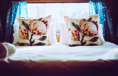 Cape Peninsula Other | Happy Van